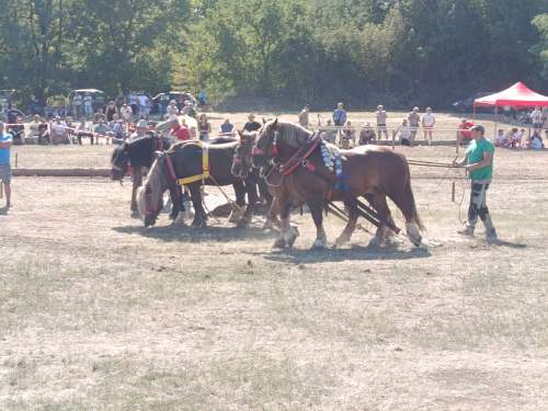 IMG_20260808_153706
